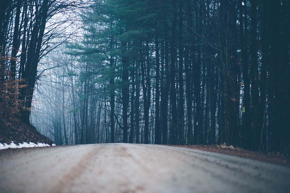 dirt road empty dirt road between green leaf trees at daytime grey